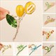 fresh Durian Hair Claw: Fruity Fun For Your Locks