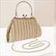 Damen Einfache Plissierte Bankett Prinzessin Tasche