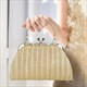 Damen Einfache Plissierte Bankett Prinzessin Tasche