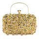 crossbody bags for women luxury designer fashion party handbags trend chain cluth sac de luxe femme wedding bags