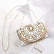 Hand-Beaded Dinner Bag With Metal Chain Shoulder Strap
