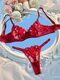 fairy lingerie floral valentine charming brief panty underwear nighty fancy underwear brief set for lady see through bra