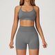 yoga Sports Set Women Gym Tracksuit Long Sleeve Shirt Shorts Bra