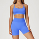 yoga Sports Set Women Gym Tracksuit Long Sleeve Shirt Shorts Bra