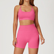 yoga Sports Set Women Gym Tracksuit Long Sleeve Shirt Shorts Bra