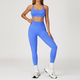 yoga Sports Set Women Gym Tracksuit Long Sleeve Shirt Shorts Bra