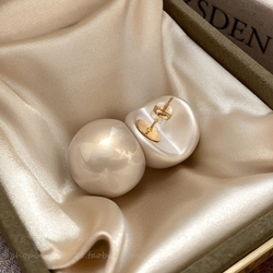 Beige Silver Needle Pair