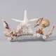 fresh Natural Faux Floral Hairpin And Earring Set