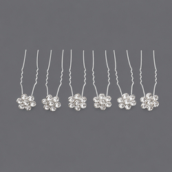 Everyday Versatile Hairpin Set (6-Piece) Hs-J6014