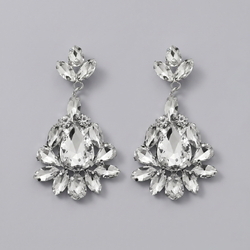 Silver Floral Light Luxury Earrings Ers-J3007s