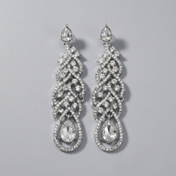 Silver Elegant Light Luxury Earrings Ers-J4091s