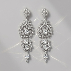 Silver Banquet Light Luxury Earrings Ers-J4092s