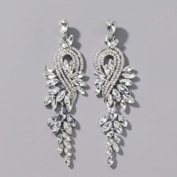 Silver Party Light Luxury Earrings Ers-J4097s