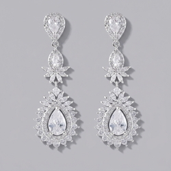 Silver Gathering Light Luxury Earrings Ers-J4155s