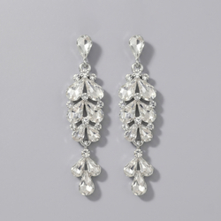 Silver Floral Light Luxury Drop Earrings Ers-J4301s