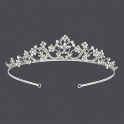 Silver Party Versatile Crown Ts-J257