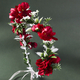floral Wreath Bridal Hairband For Wedding And Beach Photoshoot