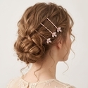 minimalist Zircon Floral Leaf Hair Clip Set For Women