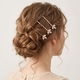 minimalist Zircon Floral Leaf Hair Clip Set For Women