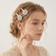 fashionable Light Luxury Versatile Hair Clip (2-Piece Set) HS-J6477 rhinestone Flower Hair Clip Set For Bridal Wedding