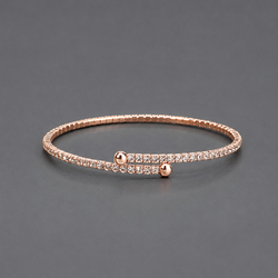 Rose Gold Light Luxury Versatile Bracelet Bs-J5416rg