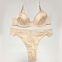 lace And Satin Spliced Sheer Bra Set With T-Back