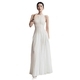 Elegant Lace Full-Skirt Umbrella Dress Formal Gown