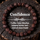 Crystal Dark Coffee Agate Round Bead Bracelet