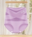 Plus Size High-Waist Tummy Control Briefs