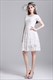 Kurzärmeliges A-Linien-Knielanges Freizeitkleid mit Spitzenüberzug