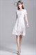 Kurzärmeliges A-Linien-Knielanges Freizeitkleid mit Spitzenüberzug