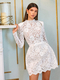 Elegant 3D Lace Stand Collar Long Sleeve A-Line Dress