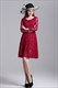 Schlichtes knielanges A-Linien-Kleid mit langen Ärmeln und Spitzenüberzug im Casual-Stil