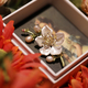 French-Style Qipao Enamel Freshwater Pearl Peach Blossom Brooch Pin