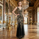 Sequin Deep V-Neck Long Mesh Evening Gown