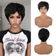 Short Fluffy Black Synthetic Wig With Cap