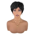 Short Fluffy Black Synthetic Wig With Cap