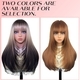 Long Straight Slightly Curly Natural Highlighted Wig Cap