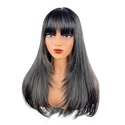 Long Straight Slightly Curly Natural Highlighted Wig Cap