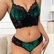 Push-Up Velvet Lace Bra And Panty Set