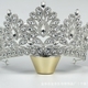 Elegant Rhinestone Bridal Tiara Crown Headband
