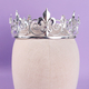 Baroque Crown Vintage Court Style Tiara Hair Accessory