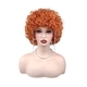 Gray Short Curly Synthetic Wig Cap
