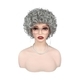 Gray Short Curly Synthetic Wig Cap