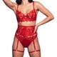 Red Red Floral Embroidered Sheer Corset Bra Set