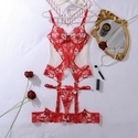 Sequin Embroidered Sheer Mesh Lingerie Two-Piece Set