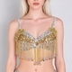 Beaded Sequin Belly Dance Bra Top