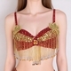 Beaded Sequin Belly Dance Bra Top