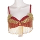Beaded Sequin Belly Dance Bra Top