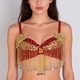 Beaded Sequin Belly Dance Bra Top
